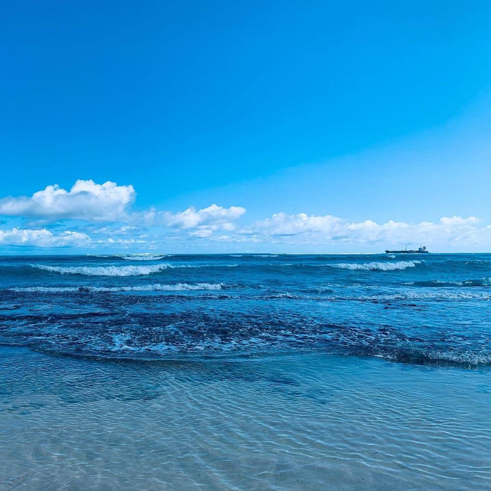 Meet your Posher, Cora